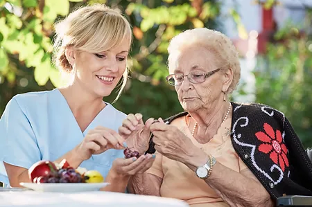 Companion Care in Reston, Virginia Companion Care in Reston, Virginia