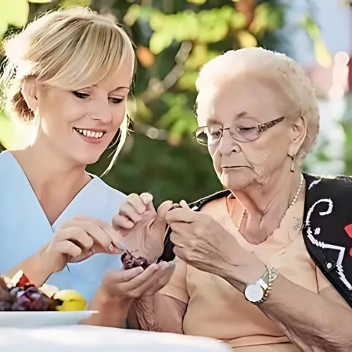 Companion Care in Reston, Virginia Companion Care in Reston, Virginia