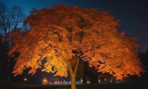 Embracing the Fall
